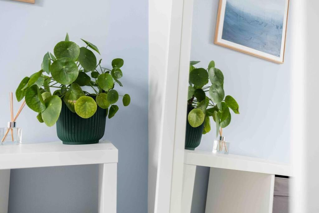 Charming 3 Bedroom Belfast Townhouse Extérieur photo